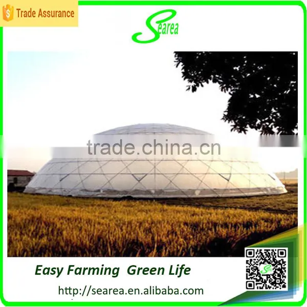 Single Span Greenhouse for Vegetable Fruits Agricultural Greenhouses photo-5