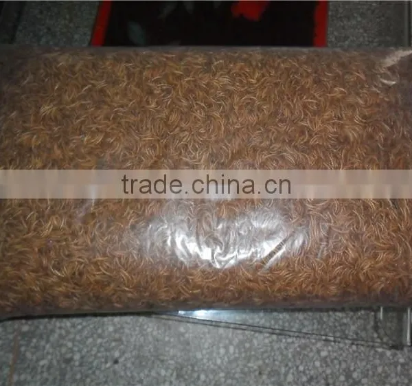 Eco-Friendly Dired Mealworms Wild Bird Feeding, Animal Feed Mealworm photo-3