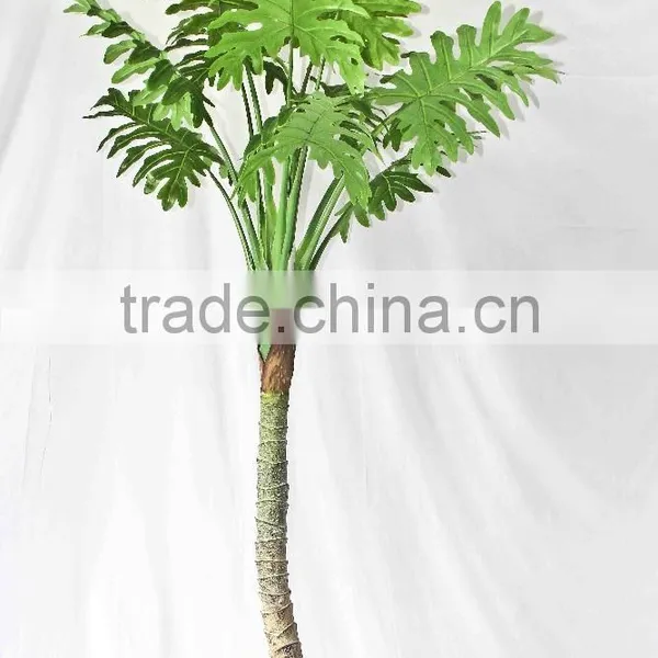 Wholesale Indoor Use Bonsai photo-2