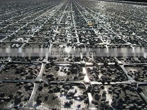 Plastic Geogrid for Soil Reinforcement photo-6