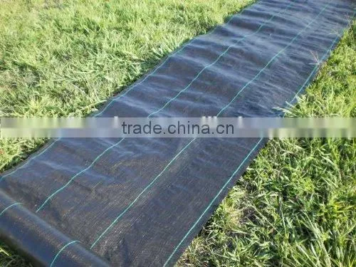 pp Spunbond Nonwoven Ground Cover Fabric With uv Treated photo-5