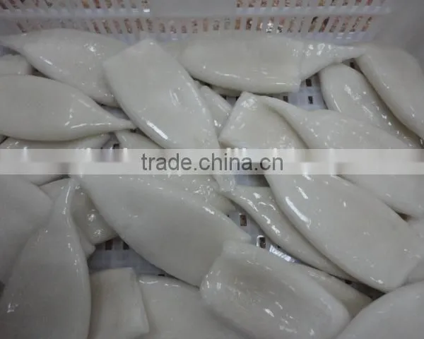 Frozen Tordarodes and Argentina Squid Tube photo-3
