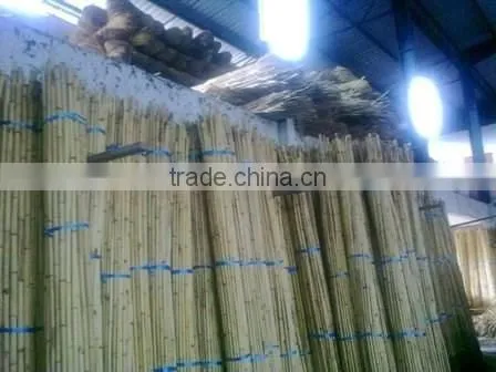 Raw Rattan Cane, Rattan, Cane, Rattan Meterial, Raw Material, Rattah Raw Mateiral, Rattan Cane, Rattan Pole, Pole, Raw photo-2