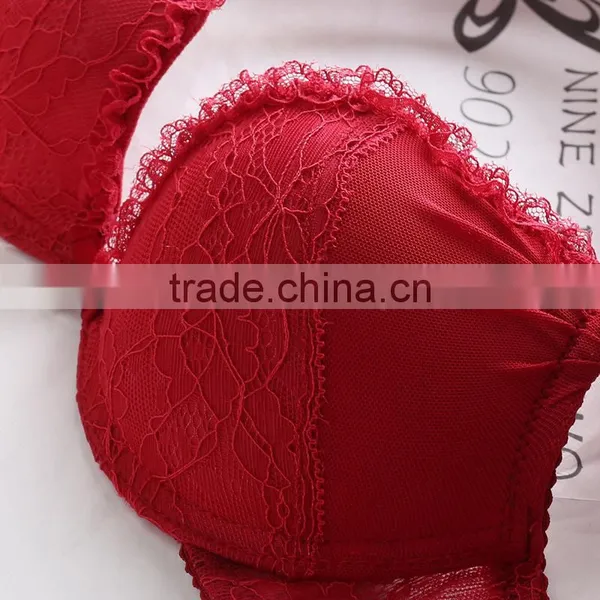 Hot Sale Black With Red Color Ladies Sexy Net Bra Sets Sexy Bra Panty Set photo-6