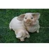 2011 Polyresin Garden Decorative Pig