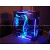 Colorful Cold Cathode Light Kit Under Car Neon Light photo-2