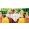 Dining Table Cloth/hotel Table Colth/wedding Chair Cove/banquet Table Skirt/napkin/table Linem/chair FabricsMT-8012