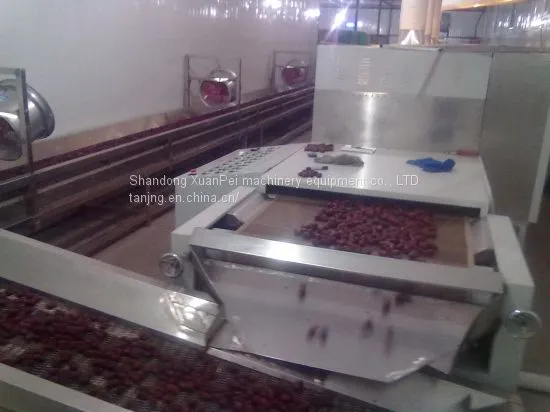 Seeds Microwave Drying Equipment