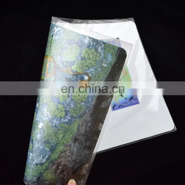 OEM Order Plastic Hot Food Dining Table Mat photo-6