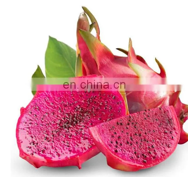 Natural Fresh Dragon Fruit/ Fresh Pitaya From Vietnam photo-2