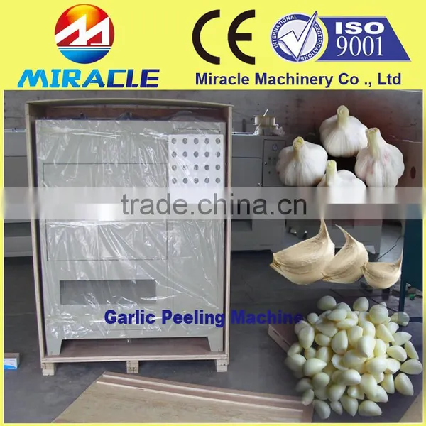 Garlic processing machine of dry garlic separating clove peeling machines