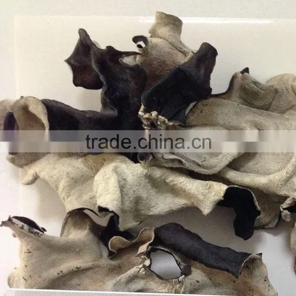 Dried White Back Black Fungus photo-3
