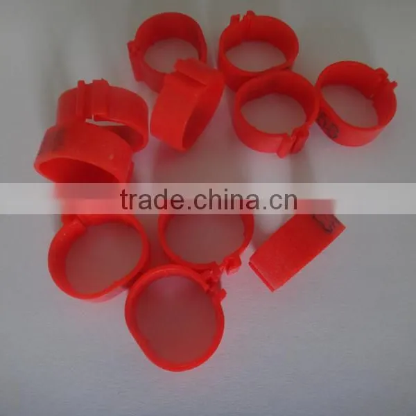 Plastic Leg Rings to Distinguish Chicken or Birds