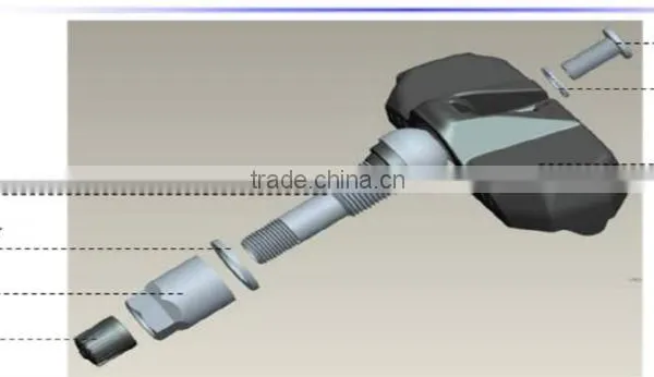 Tire Pressure Monitoring System