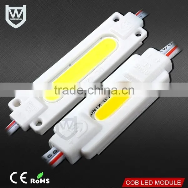 Injection Led Module 2W High Brightness Red Emitting Color DC 12V Good Price Pcb Injection Module for Lighting Box photo-6