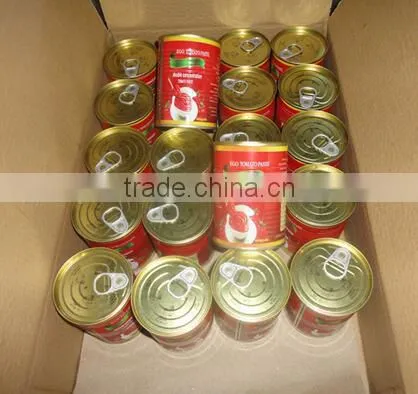 Canned Tomato Paste Factory,with Double Concentrated 28-30% photo-2