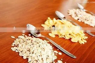 Best Seller Corn Flakes Making Machine/Processing Line photo-6