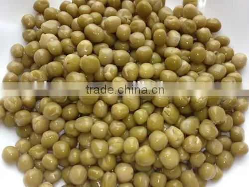 Canned Fresh Green Peas With Best Price for Sale photo-3