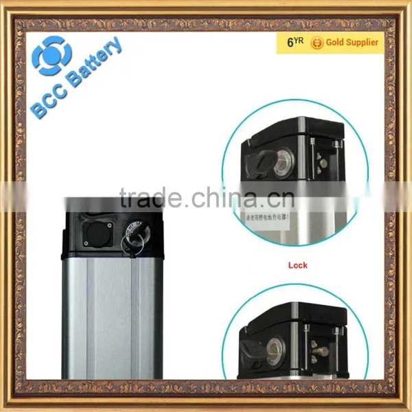 Electric Bicycle Battery Pack for Electric Bicycle photo-6