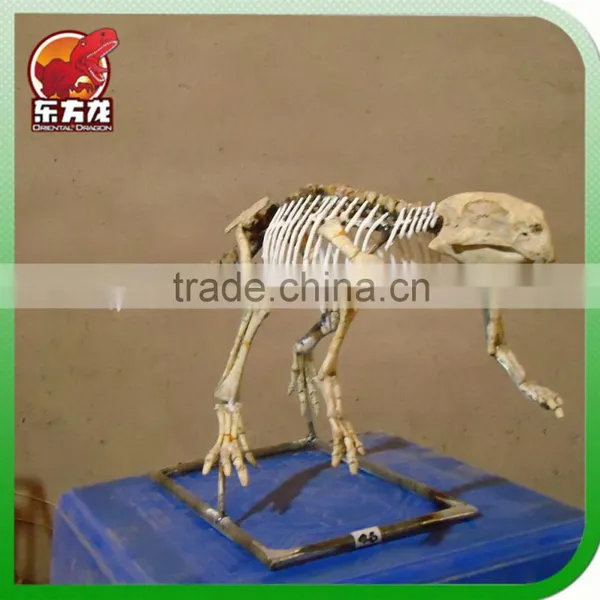 The Animal Skeleton Statue