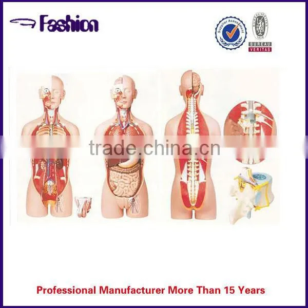 medical teaching aids