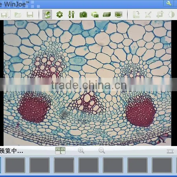 Computerized Digital Microscope Camera Replace Optics Eyepiece for Screen Alive Image Viewing Under Control of Imaging Software photo-3