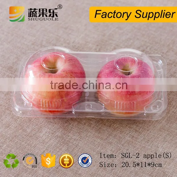 Plastic Apple Fruit Packaging Box photo-4