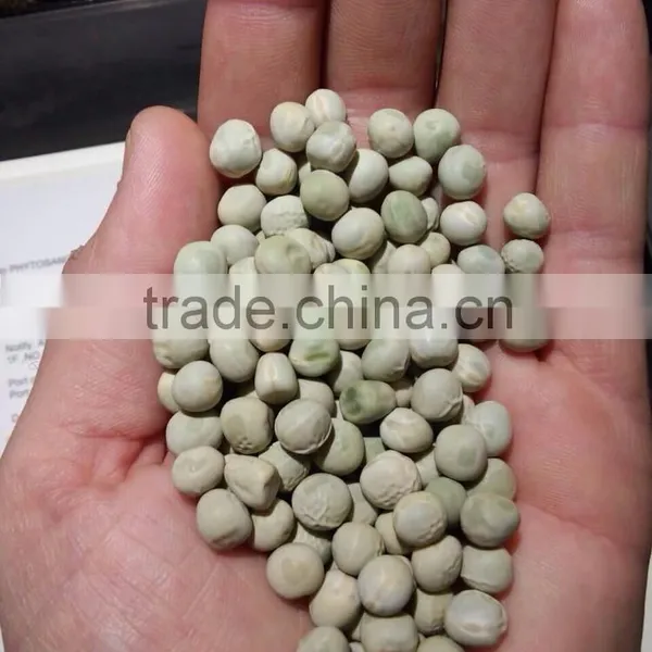 GREEN PEAS photo-2