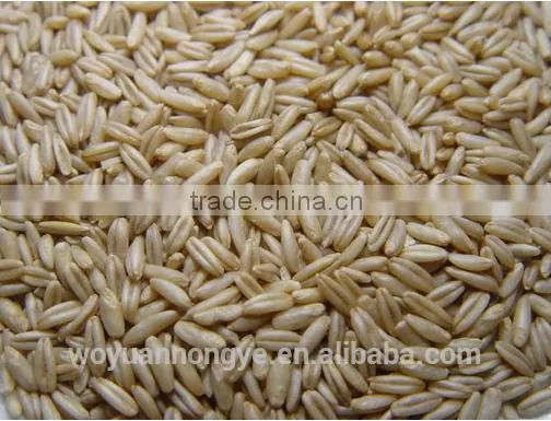 Oats