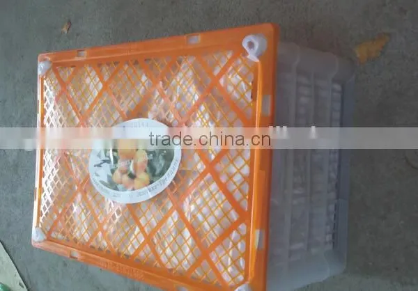 Names of Fruit Products Mandarin Orang With Complete Price photo-3