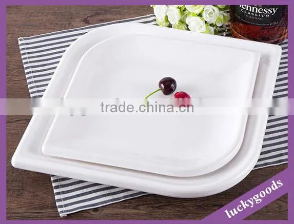 Good Quality White Melamine Resin Plate photo-4