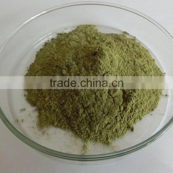 Organic Moringa Leaf Powder Wholesale ( Skype: Liu.diana 79, Whatsapp: +861502902563) photo-5