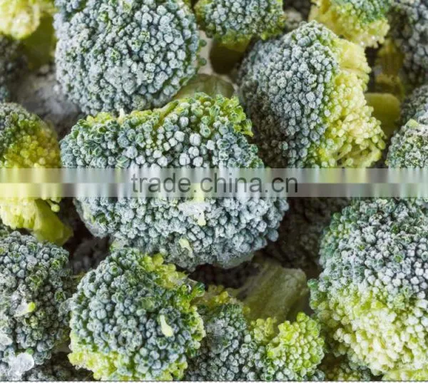 IQF Broccoli, Frozen Vegetables, IQF Vegetables photo-2