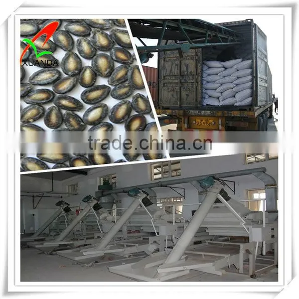 Black Water Melon Suppliers