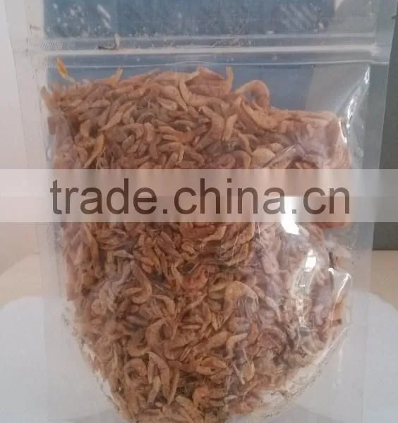 Protein Dried Insects photo-2