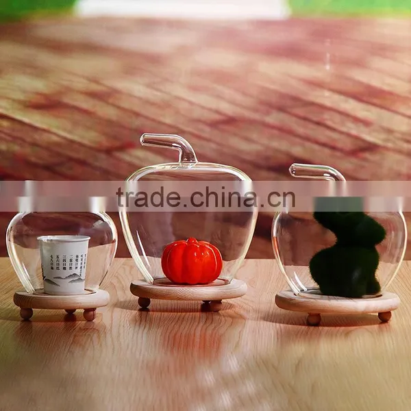 Clear Globes Glass Vase Glass Landscape Bottle Apple Shape Wood Stand photo-2