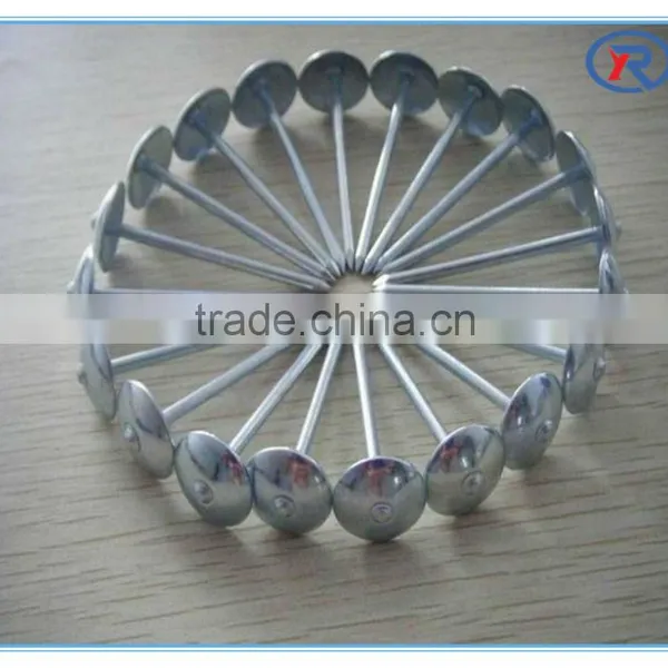 Umbrella Head Roofing Nails and Construction Nails photo-2