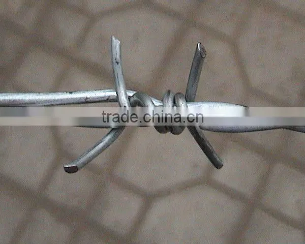 Razor Wire photo-2