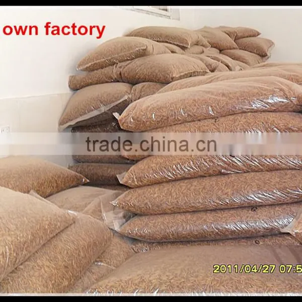 Dried Mealworms For Reptiles Pet Food photo-4