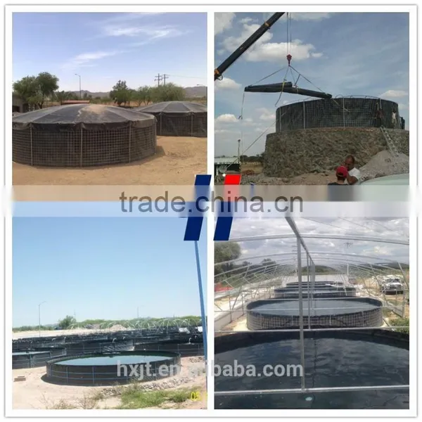 High Quality Hdpe Geomembrane for Pond Liner photo-3