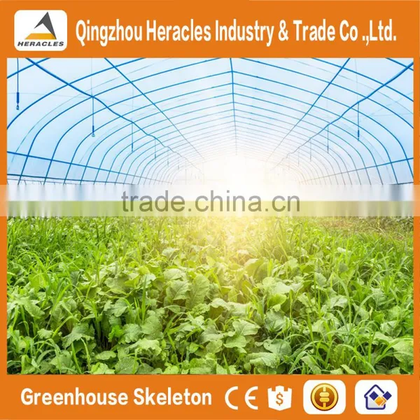 Heracles Trade Saaurance Good Quality Greenhouses Cover -uv Treated Plastic Film Greenhouse photo-5