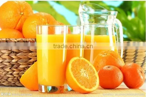 Halal Certification Passed Blending Orange Flavoured Ice Cream Powder photo-5