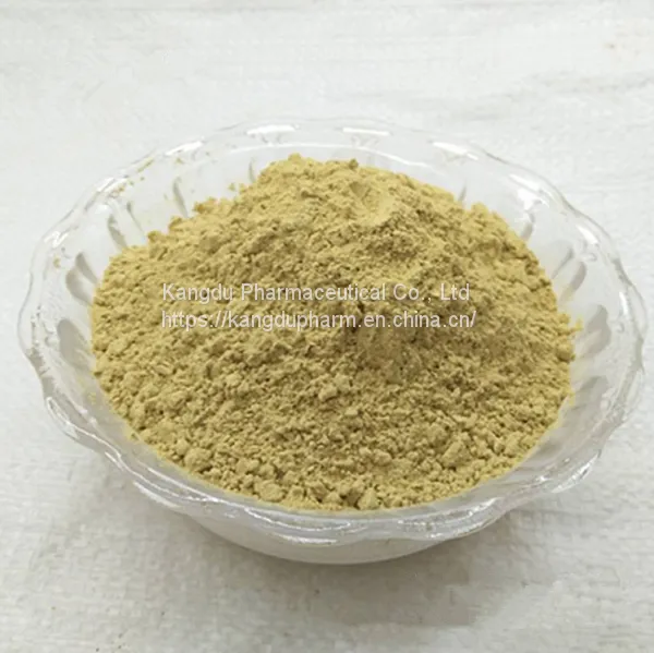 Factory Direct Sale Scutellaria Baicalensis Root Extract 80% Baicalin photo-3