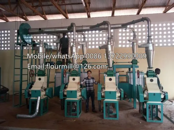 30TPD Corn Flour Machine,corn Milling Machine,maize Mill photo-5