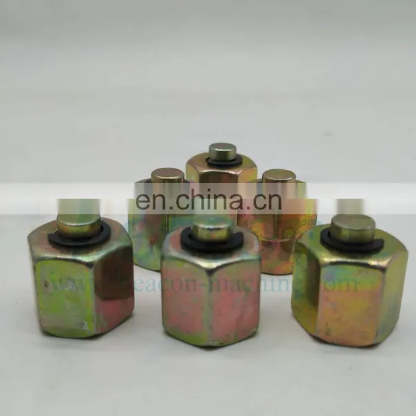 Fuel Rail Plug Common Rail Plug for Rail Pipe Diesel Pump Test Bench Spare Parts Accessories photo-3