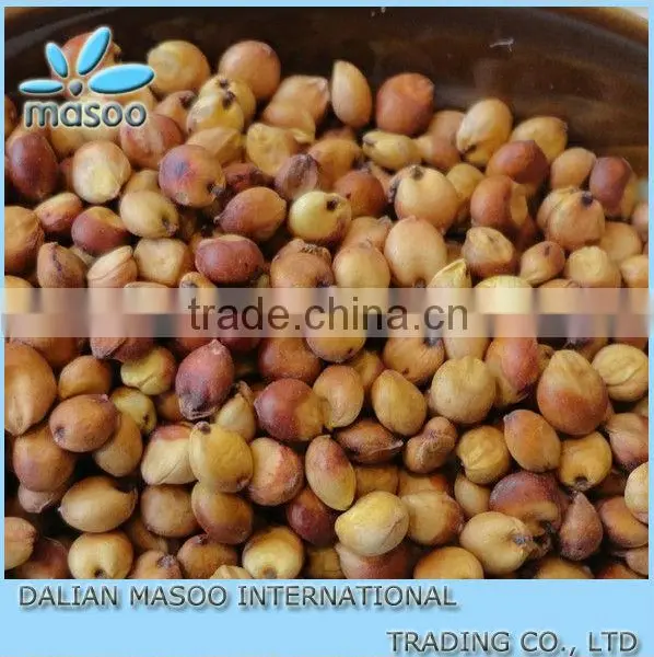 High Quality Grain Sorghum Chinese Groats