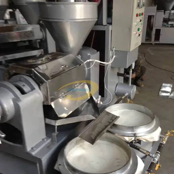 Oil Press Machine With Filter Fully Automatic Palm Oil Press Line Black Seeds Sunflower Oil Processing Machine photo-3