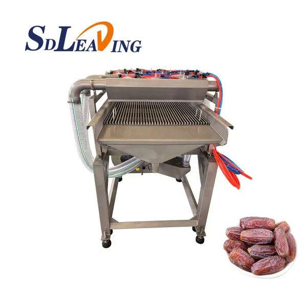 Large Capacity Industrial Palm Dates Processing Machine Date Drying Machine Heat Pump Dehydrator Dates Processing Line Plant photo-5