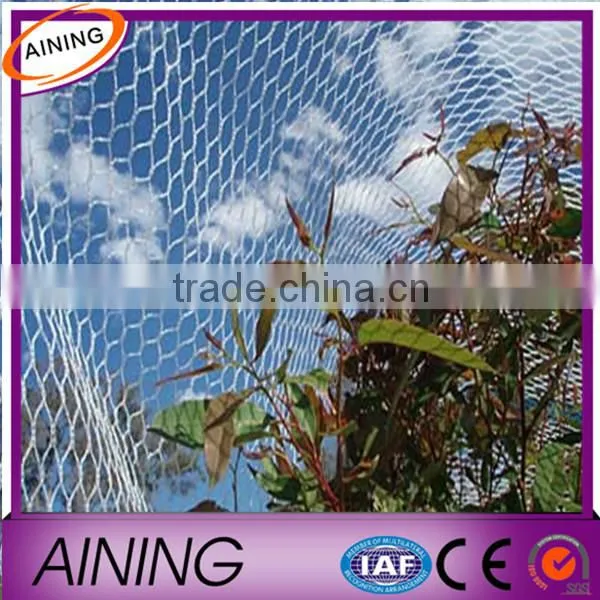 Heavy Duty Anti Bird Netting for Viticulture, Horticulture,agriculture photo-4