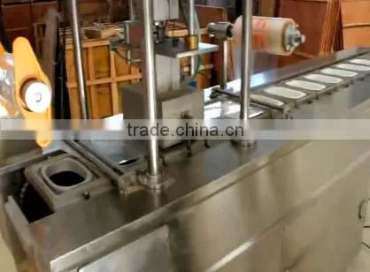 Modified Atmosphere Packing Machine TM170A Food Fresh Machine photo-3